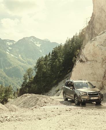 BRAND_PHOTOGRAPHY_SUMMER16_FORESTER_GRADE A_0710_300_CMYK HR